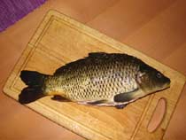 Schuppenkarpfen